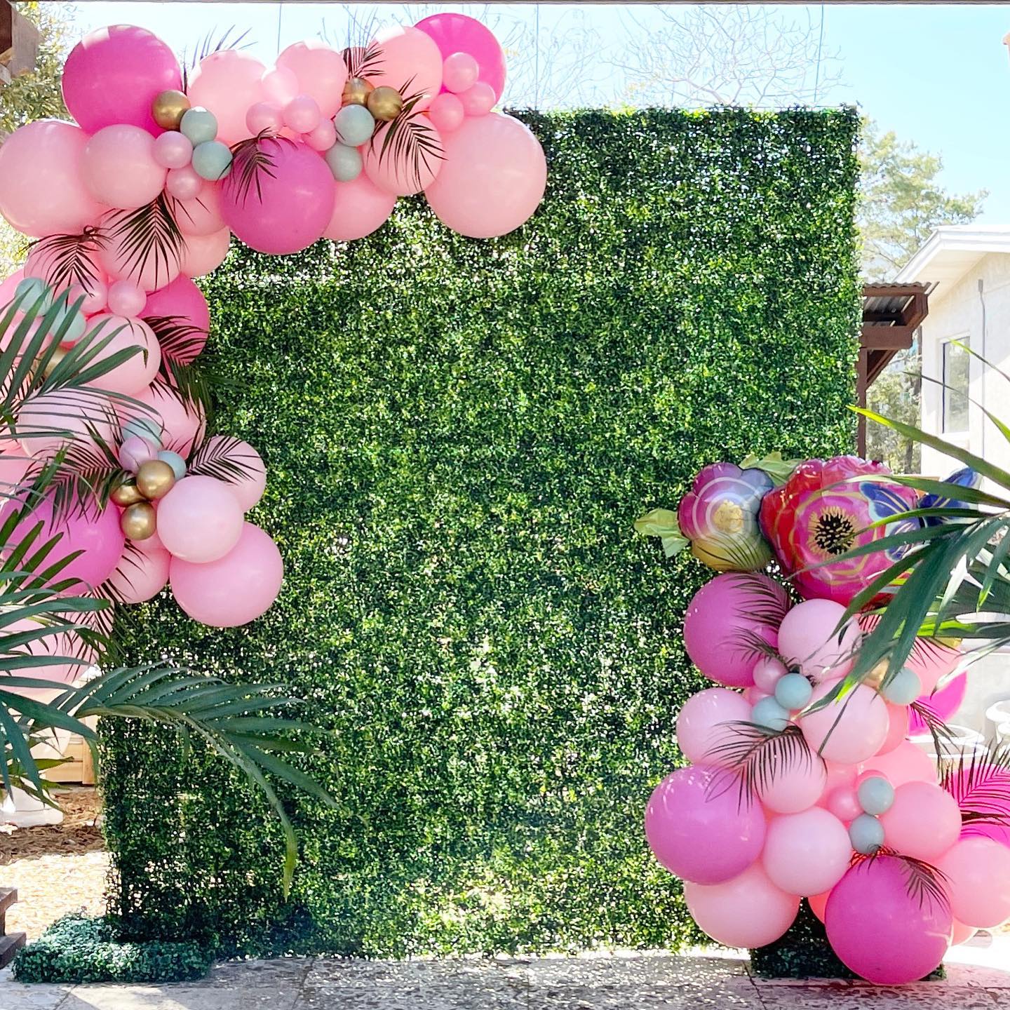 There are SO many ways to style balloons on our greenery wall! 🎀 💗 🌸 

#greenerywall #hedgewallbackdrop #backdrop #balloongarland #balloons #photobackdrop #eventplanning #balloonstylist #event