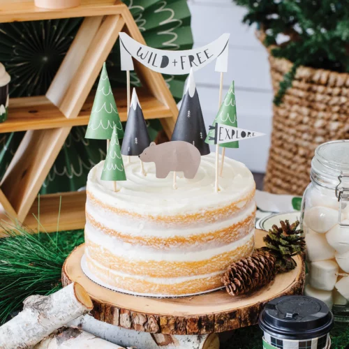 Party Collection Adventure Cake Topper Set