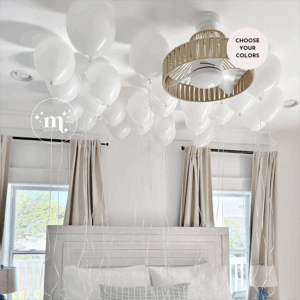 Bach Grab N Go: Ceiling Balloons