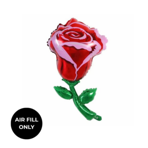Non Helium Balloon: Mini Rose Green Stem
